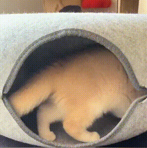 Felt Tunnel Cat Nest😻